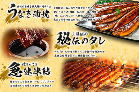 ＜隔月定期便＞国産 うなぎ 定期便 鰻楽 蒲焼 家庭用 5尾セット（11月,1月,3月お届け）全3回 数量限定 無頭 高評価 おすすめ 冷凍 簡単調理 個包装 鰻 魚介 贈答品 ギフト 贈り物【E25