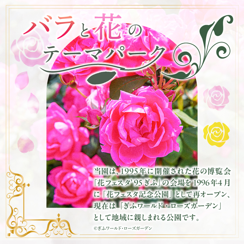ぎふワールド・ローズガーデン　年間パスポート　２枚【0070-003】_イメージ4