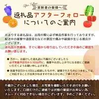 バレンシアオレンジ 4㎏ 【2026年7月中旬頃より順次発送】 / みかん ミカン 蜜柑 バレンシアオレンジ オレンジ 和歌山 田辺市 紀州 くだもの 柑橘 フルーツ 【aoi009】