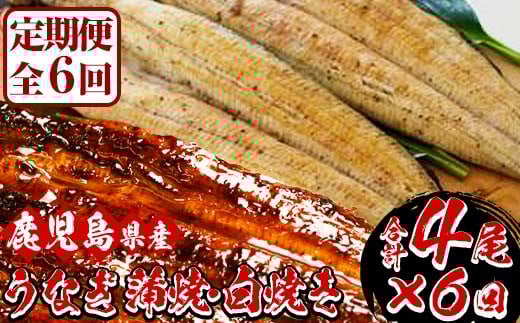 【６か月定期便】国産（鹿児島県産）うなぎの蒲焼・白焼き食べ比べ堪能セット  国産 うなぎ 鰻 蒲焼 白焼 冷凍 鹿児島【S-017H】