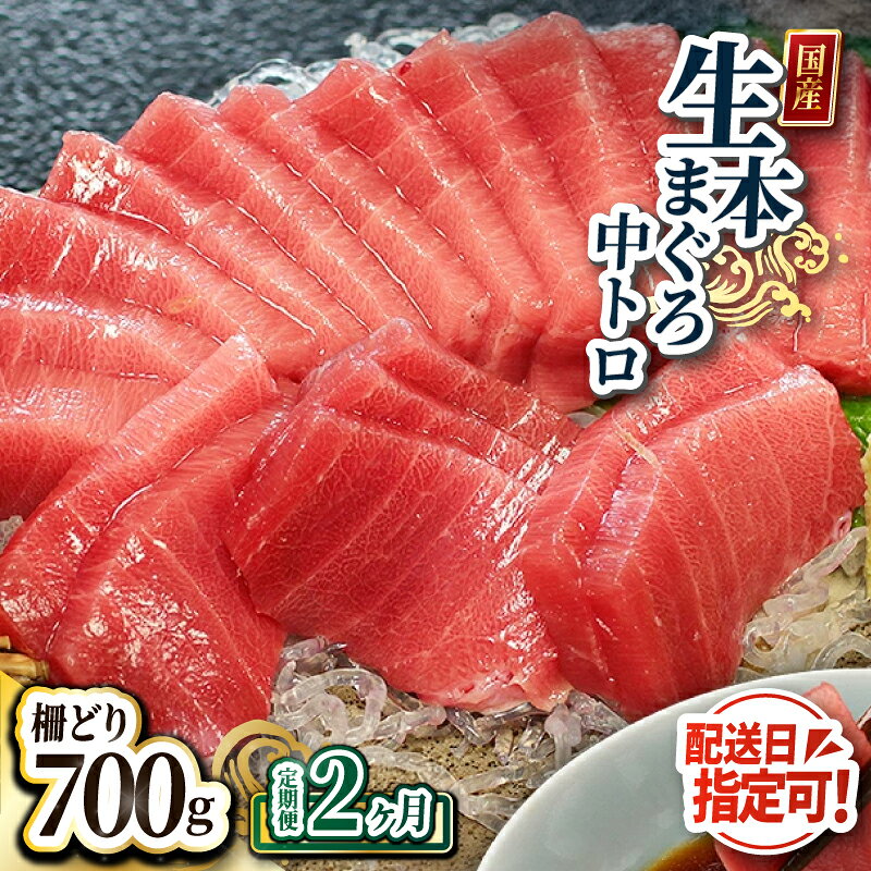【ふるさと納税】【定期便2回】大満足！生本まぐろ中トロ 700g（柵どり） × 2回お届け （毎月お届け） 2ヶ月 / 送料 無料 福井県 越前市 武生 鮪 マグロ 未冷凍 生まぐろ 生マグロ 本鮪 中とろ コース 新鮮 お刺身 お造り おろし ブロック 魚 切り身 海鮮丼 漬け丼 (18209)