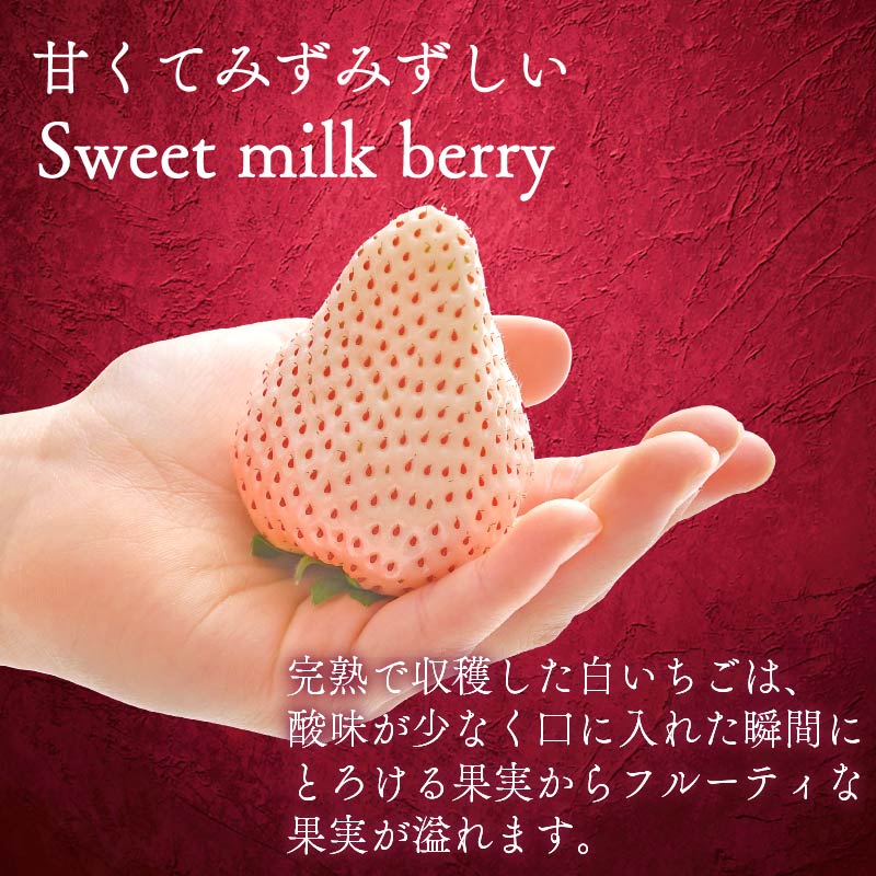 いちご 白いちご 計 800g 計 2 パック 高級 白 イチゴ 苺 セット Sweet milk berry 2 パック 400g × 2 パック フルーツ 果物 ストロベリー 産地直送 国産 スイ