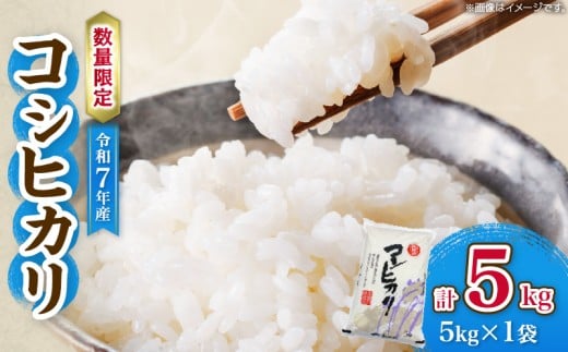 令和7年産 新米 コシヒカリ 計5kg お米 ご飯 ライス 国産 数量限定 期間限定 人気 食品 精米 白米 こしひかり 有洗米 おにぎり お弁当 炊き込みご飯 雑炊 ギフト プレゼント 贈り物 お取り寄せ 産地直送 宮崎県 日南市 送料無料_BC134-25
