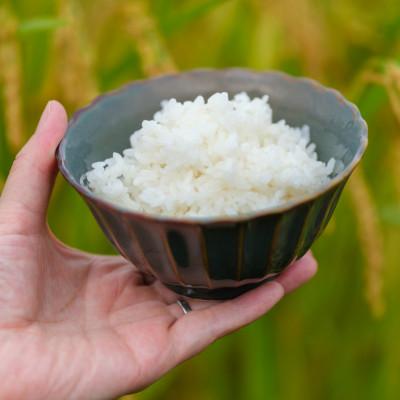ふるさと納税 大和高田市 【2025年5月中旬発送】【令和6年】【無洗米】奈良県産 ヒノヒカリ 10kg (5kg×2) |  | 03