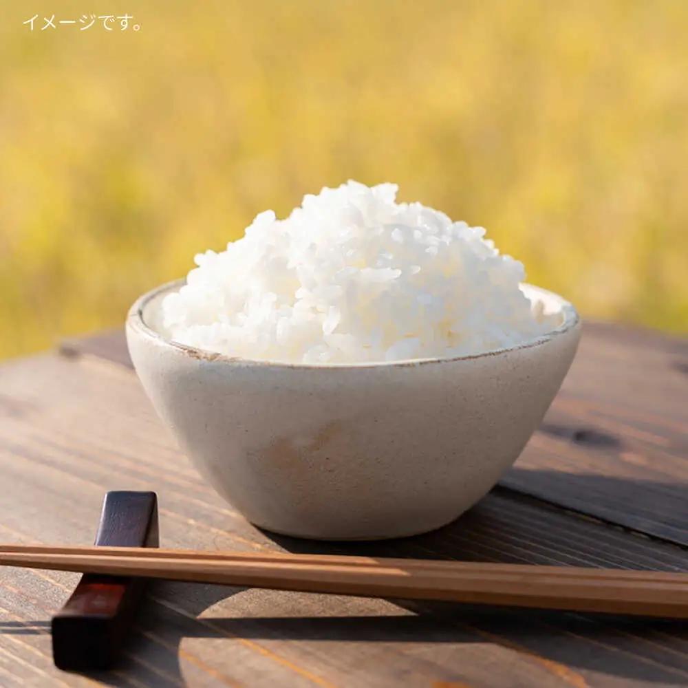 【全3回定期便】とくべつの中のとくべつ 糸島 特別栽培米 3kg （ コシヒカリ ） 糸島市 / itoshimacco / 株式会社やました [ARJ021]