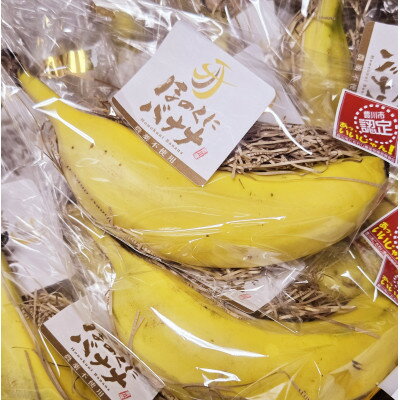 【ふるさと納税】ほのくにバナナ　170g以上(LL)8本入り【配送不可地域：離島】【1641182】