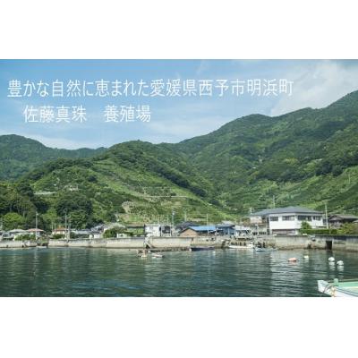 ふるさと納税 西予市 <明浜産真珠ピアス8.0mm>　パール　ジュエリー　アクセサリー　ファッション　高品質　アコヤ |  | 03