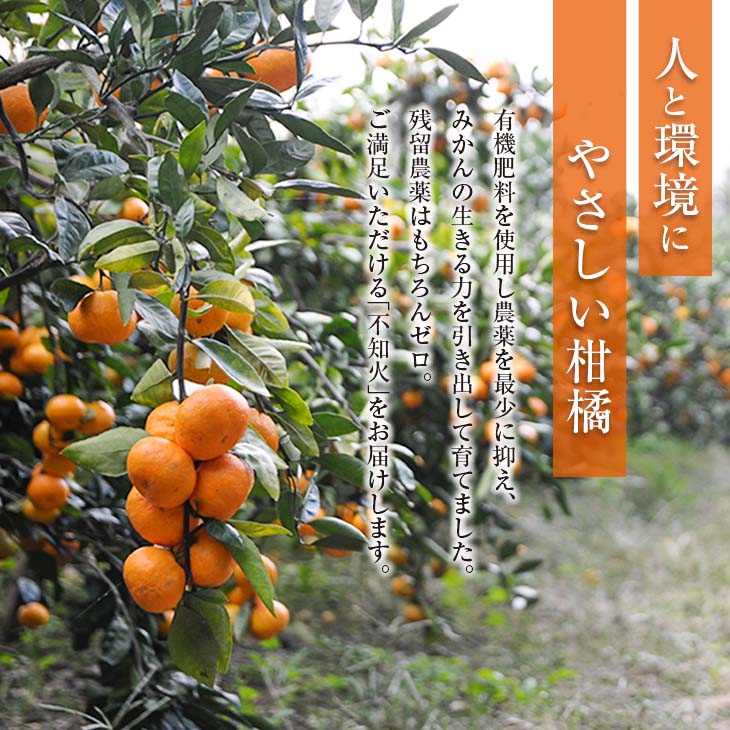 先行予約 不知火 計4kg以上 傷み補償分付き 期間限定 数量限定 フルーツ 果物 くだもの 柑橘 みかん しらぬい 令和8年発送 おやつ デザート ジュース 国産 食品 おすすめ_AAV11-25