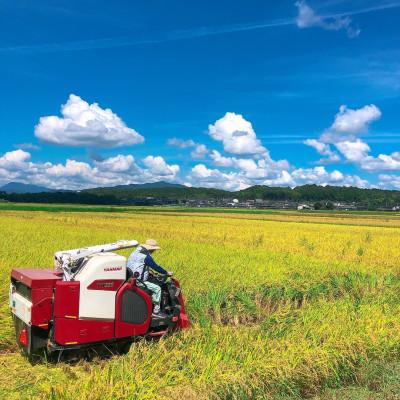 ふるさと納税 福知山市 【令和4年産】京都 福知山産こしひかり 玄米30kg 一般には流通していない特別なお米です。 |  | 01