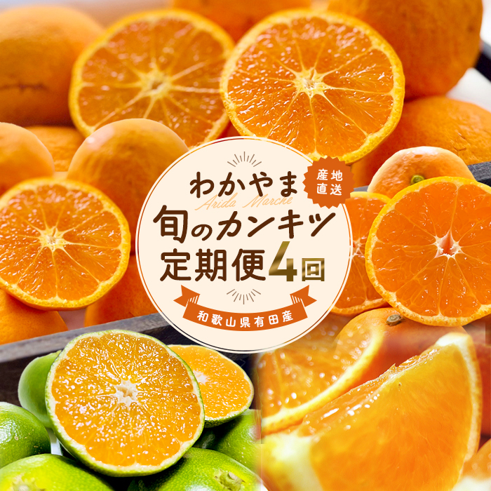 
            【家庭用 訳あり】わかやま旬のカンキツ定期便【S】 全4回　【3・5・9・11月発送】
          