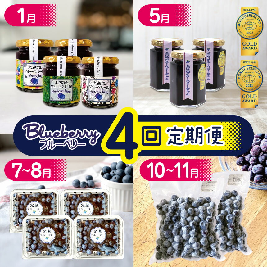 【ふるさと納税】ブルーベリー定期便【4回】（月ごとにお届けいたします！）│信州 ブルーベリー ふるさと納税 上高地 松本市 長野県 定期便