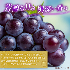 ぶどう BKシードレス 種なし 計約1kg 2房 ぶどう