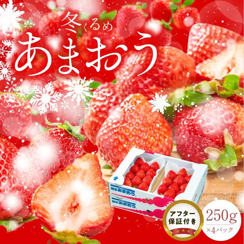 【2026年12月以降お届け】福岡産［冬］あまおう4パック_冬くるめ あまおう 250g × 4パック 合計 1kg 冷蔵 苺本来の味 濃厚 甘い 果汁 アフター保証 安心安全 国産 いちご 果物 アレンジ おやつ お菓子 タルト クッキー フルーツ スイーツ スムージー ジャム 南国フルーツ お取り寄せ 福岡県 久留米市 送料無料 〔Fi011〕