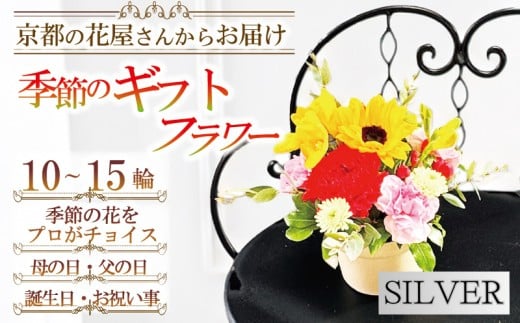 季節の花 ギフトフラワー シルバー おまかせ 10～15輪 お祝い 花 推し活 結婚 開店祝 贈り物 京都 宇治 ギフトフラワー Hanamasa 花屋 春夏秋冬