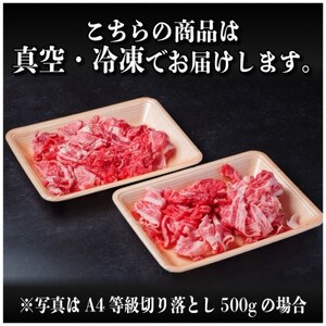 【毎月定期便】飛騨牛 A4等級 切り落とし 計7.2kg全6回【配送不可地域：離島】【4055983】