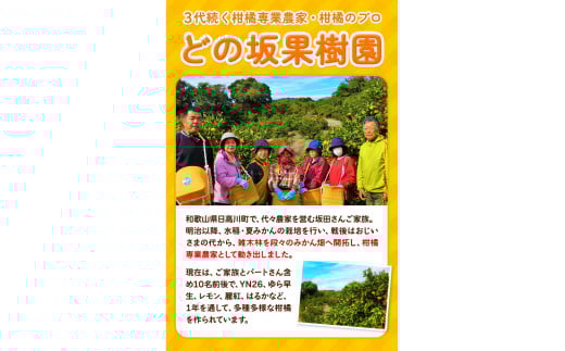 ＜先行予約＞ゆら早生みかん約5kg(2S～Lサイズ)どの坂果樹園《2025年10月中旬-12月上旬頃出荷予定》みかんゆら早生旬柑橘フルーツ果物---wshg_dsk52_10c12j_24_10000