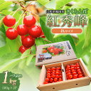 【ふるさと納税】【令和7年産 先行予約】さくらんぼ 紅秀峰 2Lサイズ 1kg（500g×2P）　バラ詰め