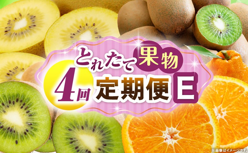 
            とれたて果物 4回定期便E 果物 フルーツ 果物定期便 フルーツ定期便 定期便 キウイ デコポン濃厚 旬の果物 定期 人気 おすすめ 贈答 贈り物 青果物 糖度 香川県 _mk165-t078
          
