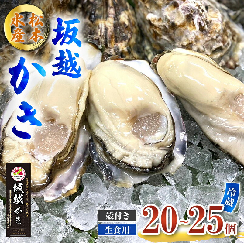 【ふるさと納税】牡蠣 生食用 坂越かき 殻付き 20～25個 松本水産 [ 生牡蠣 真牡蠣 かき カキ 冬牡蠣 ] 魚貝類 海鮮 海のミルク 身が大きい 濃厚 　お届け：2026年1月中旬～4月まで