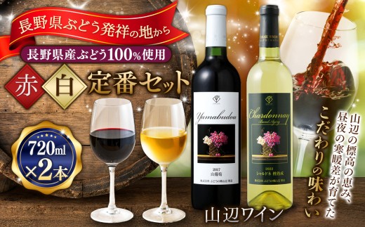 【赤×白定番セット】山辺ワインセット720ml×2本(山葡萄×シャルドネ樽熟成)｜ワイン 飲み比べ お酒 辛口 セット 信州 赤ワイン 白ワイン シャルドネ ぶどう ふるさと納税 長野県産 松本市 希少価値