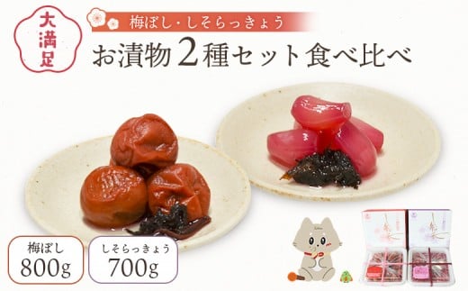 大満足　お漬物２種セット　梅ぼし　しそらっきょう　食べ比べ | お漬物 漬物 詰め合わせ 梅ぼし 梅干し うめぼし しそらっきょう らっきょう 食べ比べ 肉厚 昔ながら 甘酸っぱい 赤シソ シソ おつまみ ご飯のお供 お取り寄せ 宮城県 丸森町 丸森【02104】