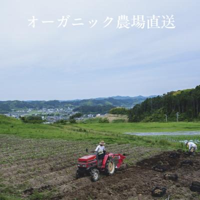 ふるさと納税 掛川市 【毎月定期便】しあわせ野菜畑の有機野菜　Sセット　(安心の有機JAS認証　オーガニック野菜)全3回 |  | 01