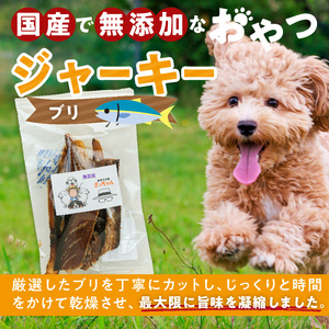 犬猫用 ペットフード 国産無添加おやつジャーキー ブリ（魚） おやつ工房さっちゃん ペット ペット用品 ドッグフード キャットフード 犬 猫 無添加 おやつ ジャーキー マルシェ エサ 餌 おやつ工房