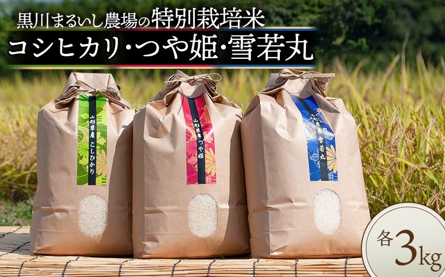 
【令和6年産 新米】 黒川まるいし農場の特別栽培米 コシヒカリ・つや姫・雪若丸 各3kg 山形県鶴岡市産　K-656
