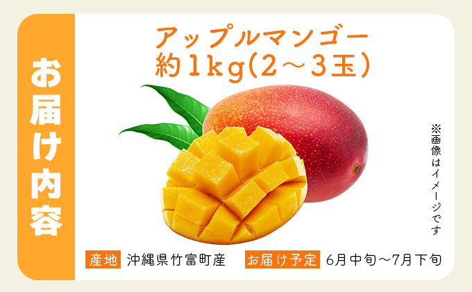 2024年 先行予約 アップルマンゴー 約1kg 2～3玉 セット 八重山マンゴー品評会総合1位を計3回獲得！高糖度保証！農園ファイミール 濃厚 果物 フルーツ