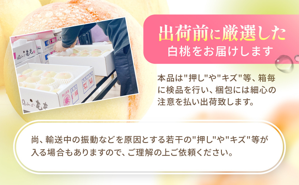 桃 2024年 先行予約 岡山の白桃 300g以上×6玉 白桃 旬 みずみずしい 晴れの国 おかやま 岡山県産 フルーツ王国 果物王国