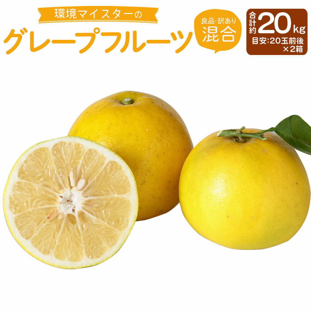 【ふるさと納税】環境マイスターのグレープフルーツ 良品 訳あり 混合 合計約20kg 約10kg×2箱 20玉前後 （栽培期間中は無肥料・農薬不使用） 柑橘 フルーツ 果物 国産 九州産 熊本県産 送料無料【2026年3月下旬‐5月下旬迄順次発送予定】