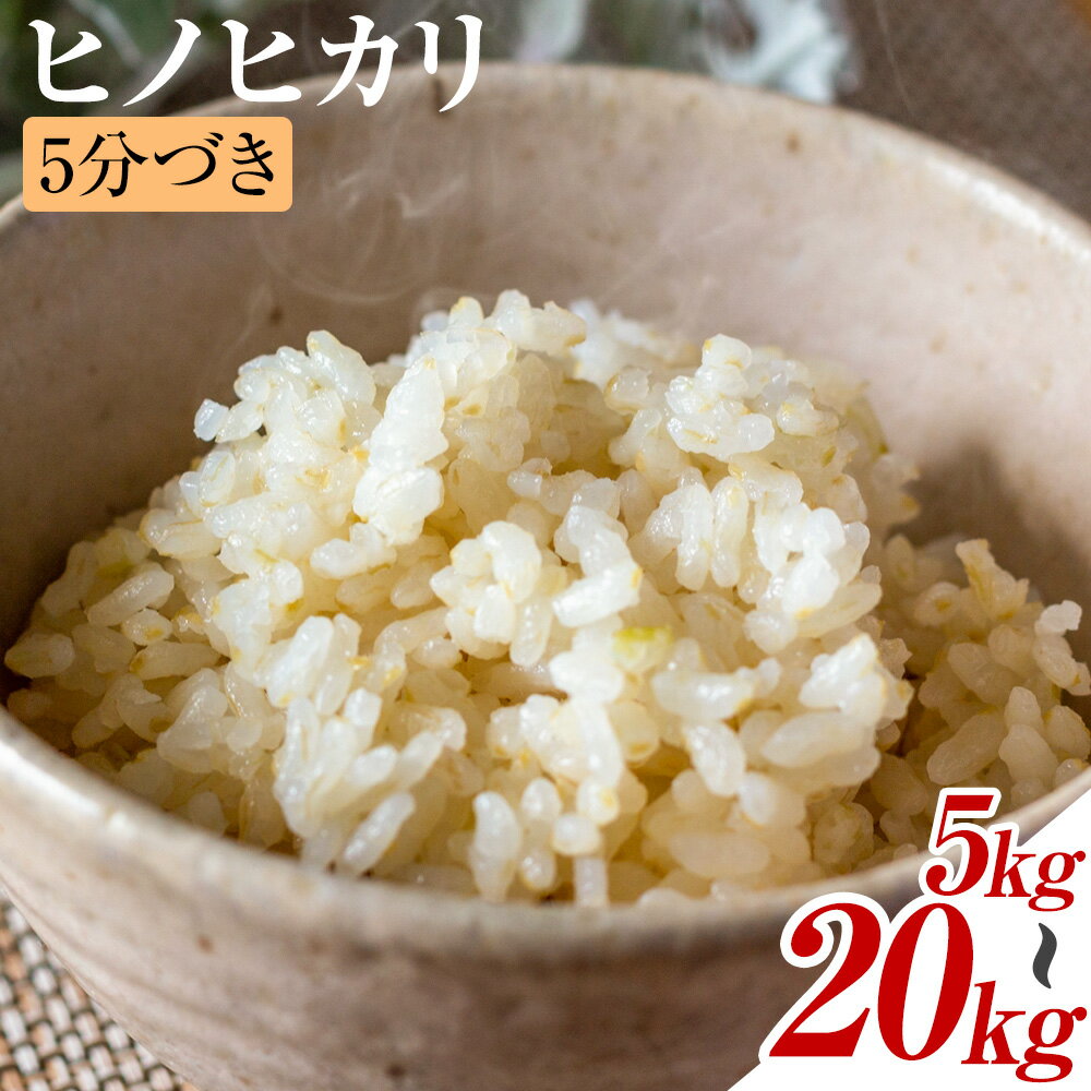 【ふるさと納税】米 ヒノヒカリ 5分づき 5kg 10kg 20kg 選べる 内容量 1袋 5kg 合同会社くまもとごはん 《30日以内に出荷予定(土日祝除く)》 熊本県 菊池市 お米 分づき米 九州産 熊本県産 白米 無洗米 ひのひかり 送料無料