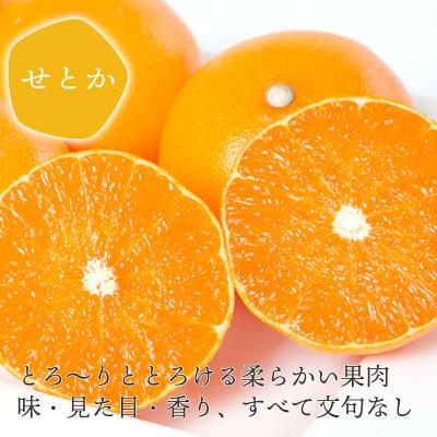 ふるさと納税 八幡浜市 【発送月固定定期便】人気の3品種!みかん×まどんな×せとか【H25-287】全3回 |  | 02
