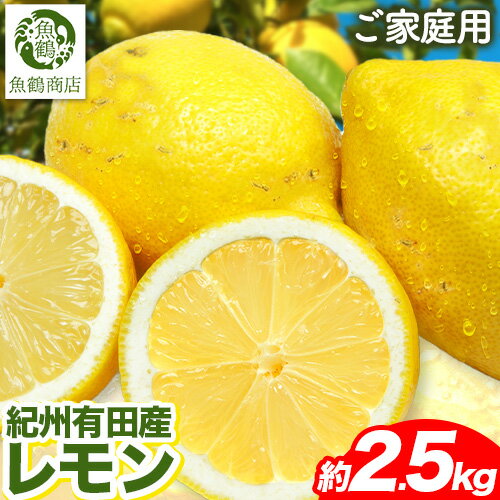 【ふるさと納税】【ご家庭用訳あり】紀州 有田産 レモン 約 2.5kg 魚鶴商店《3月上旬-3月中旬頃出荷》和歌山県 日高川町 柑橘 レモン れもん フルーツ 檸檬