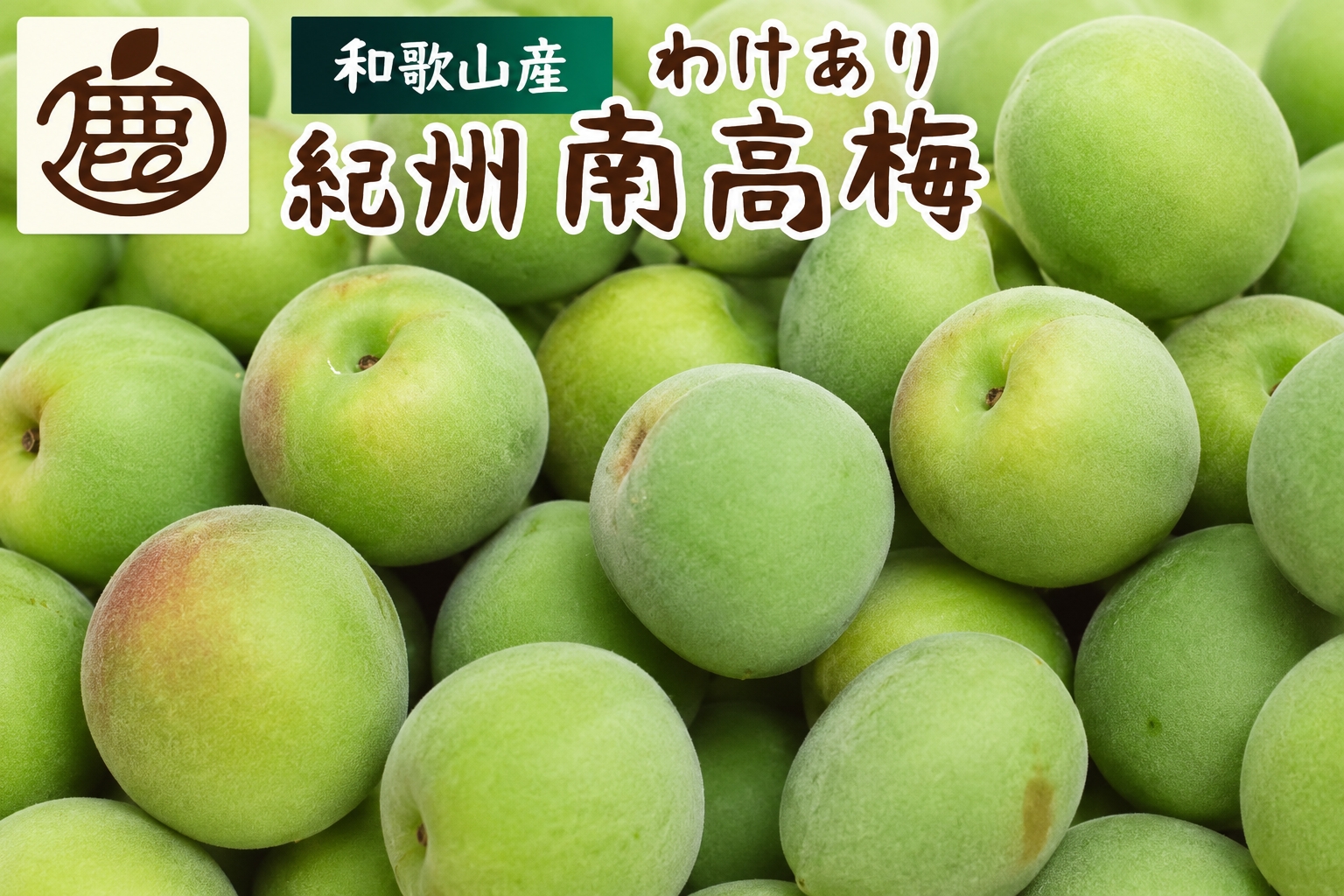 家庭用 青梅  南高梅 1kg+250g / 梅 梅シロップ 梅酒 梅干し 和歌山 紀州 ※2027年5月下旬～7月上旬に順次発送予定 ※北海道・沖縄・離島への配送不可 【ikd508-c-1H】
