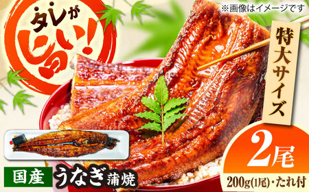 国産 活うなぎの蒲焼 2本入 鰻 [AICQ005] 