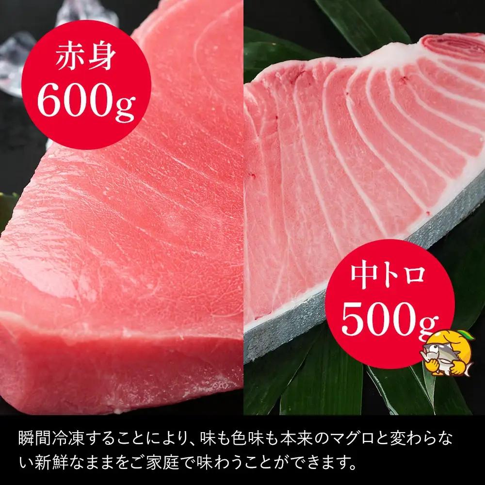 本マグロ 中トロ 赤身 セット | 本マグロ 津久見市