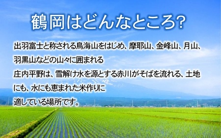 【令和7年産】【新米】 特別栽培米雪若丸 5kg (5kg×1袋) 山形県鶴岡産　鶴岡協同ファーム