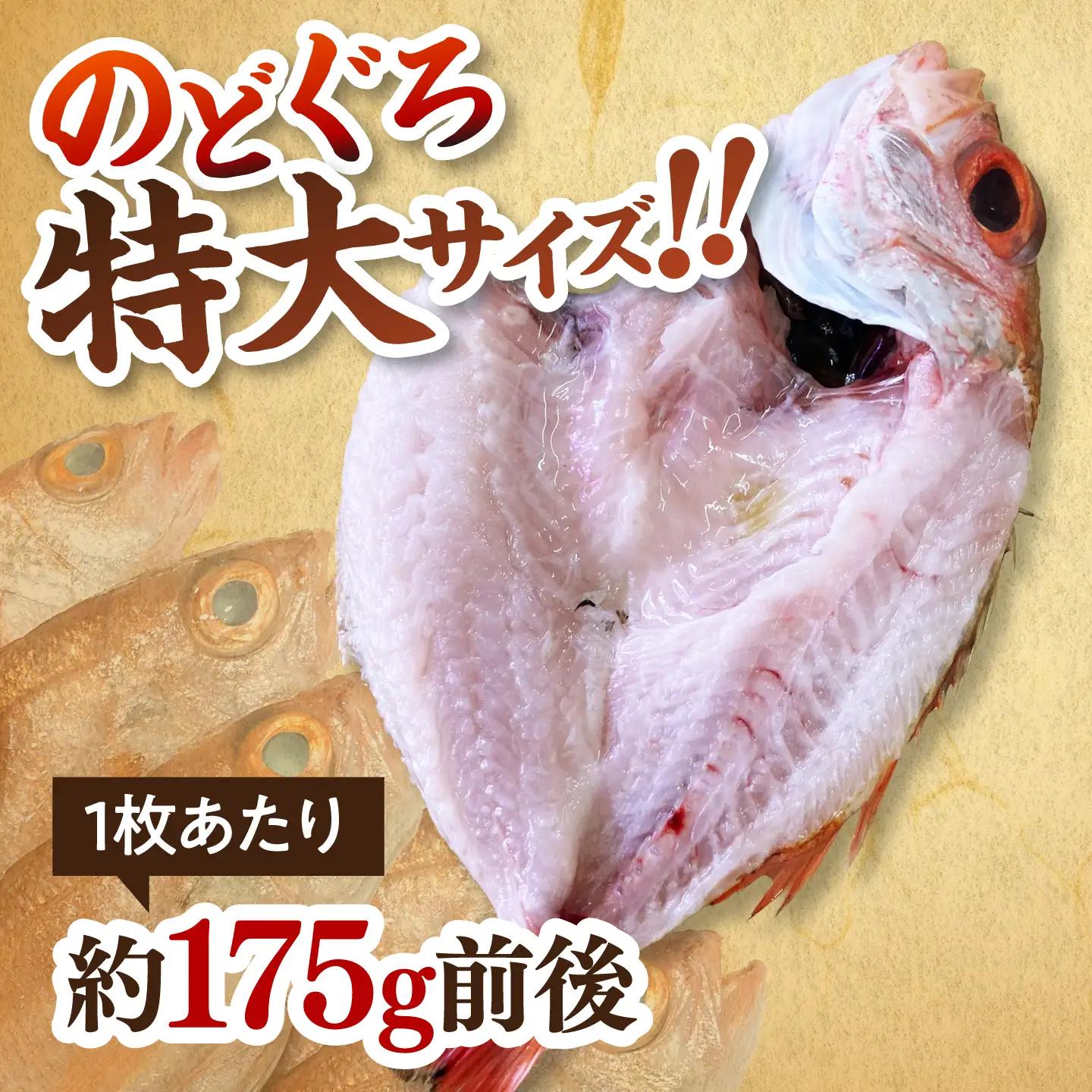 TV放映多数！県内外のファンがわざわざ訪れる 天日ほしもん屋特製 のどぐろ干物×2枚（中サイズ・20cm） 島根県松江市/桝谷鮮魚店[ALCJ006]