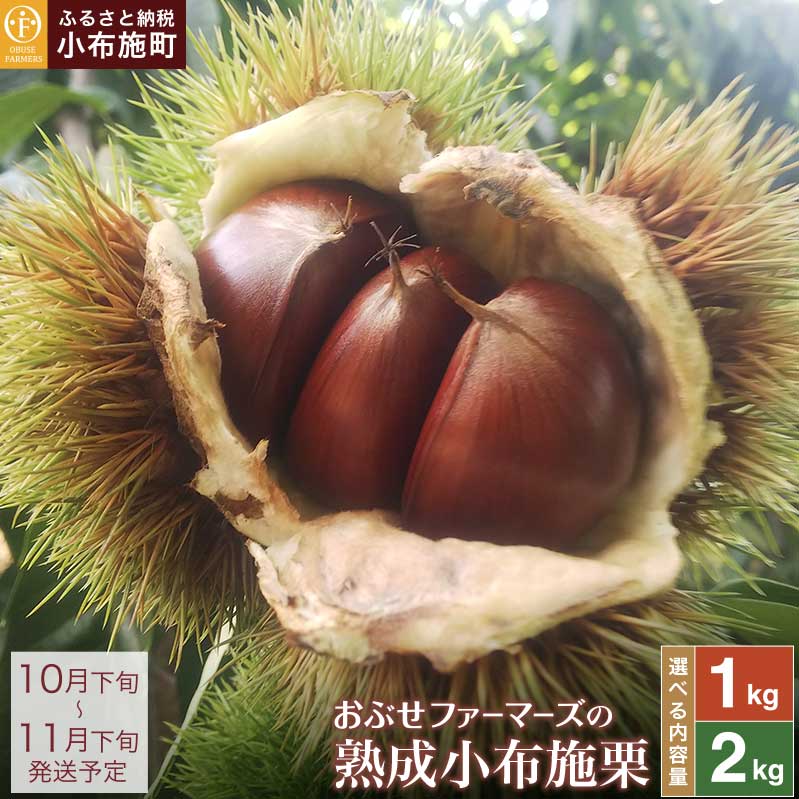 【ふるさと納税】 熟成小布施栗 選べる内容量 約1kg 約2kg ［おぶせファーマーズ］ 生栗 くり 果物 フルーツ クール便 冷蔵便 長野県産 信州産 先行予約 数量限定 令和7年産 【2025年10月下旬〜11月下旬発送】