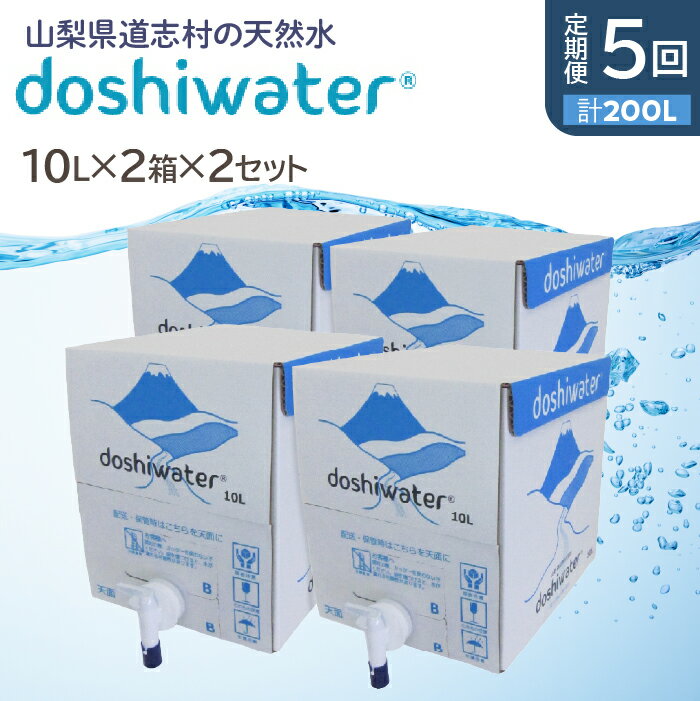 【ふるさと納税】 【定期便】【山梨　道志村の天然水】doshiwater BIB40L(10L×2箱×2セット)　大好評の大容量サイズ2セット【5回定期】 ふるさと納税 天然水 ミネラルウォーター 水 お水 アウトドア ペットボトル 山梨県 道志村 送料無料 定期便 DSF006