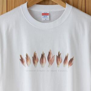 世界で唯一!着る山菜!!【みょうがTシャツ・ホワイト】 半袖 ファッション メンズ レディース 洋服 新潟  Mサイズ