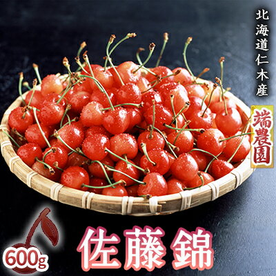 【ふるさと納税】先行受付 北海道 仁木町産さくらんぼ 佐藤錦 600g（300g×2パック）北海道知事賞受賞農園 デザート スイーツおすすめ 美味しい サクランボ チェリー フルーツ 果物 果物類 仁木町 仁木 [端農園]　お届け：2026年7月1日～15日頃