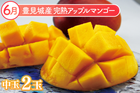 【2024年発送】沖縄フルーツ定期便（6～11月コース）