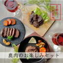 【ふるさと納税】京都ジビエ【やまとある工房】鹿肉お楽しみセット　 鹿肉 お肉 鹿肉ソーセージ ジビエ 鹿肉ステーキ 詰め合わせ セット