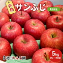 【ふるさと納税】【1月発送】盛岡 北田りんご園 完熟サンふじ 約5kg（14～20玉）　 果物類 フルーツ デザート 果汁 甘い 酸味 バランス 完熟 人気 美味しい 高糖度 　お届け：2025年1月1日～2025年1月31日