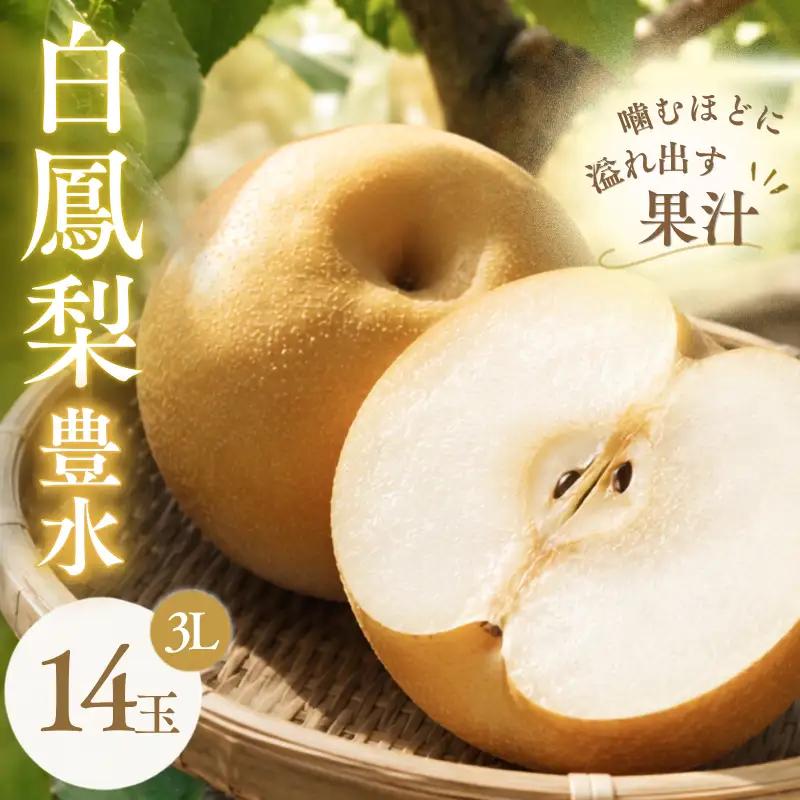 梨 白鳳梨（豊水）3L  14玉 ※お届けは9月上旬から9月中旬頃の予定 梨 【hkns0001】
