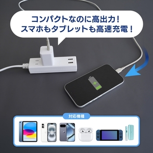 Owltech(オウルテック) 最大PD30W出力 GaN採用 USB Type-C×1 AC充電器 OWL-APD30C1GB-BK【 神奈川県 海老名市 】