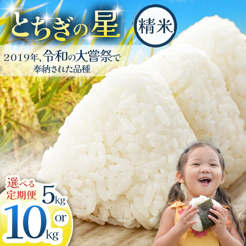 【ふるさと納税】 【栃木県共通返礼品】令和大嘗祭献上米！栃木県産 とちぎの星(精米）5kg 10kg 定期便あり 栃木県共通返礼品 | ふるさと納税 美味しい お弁当 おにぎり おいしい 数量限定 ご飯 栃木県 那珂川町
