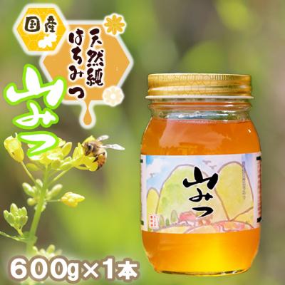 ふるさと納税 小郡市 はちみつ 国産 天然 純はちみつ やまみつ 600g ハチミツ 蜂蜜[No5354-0339]